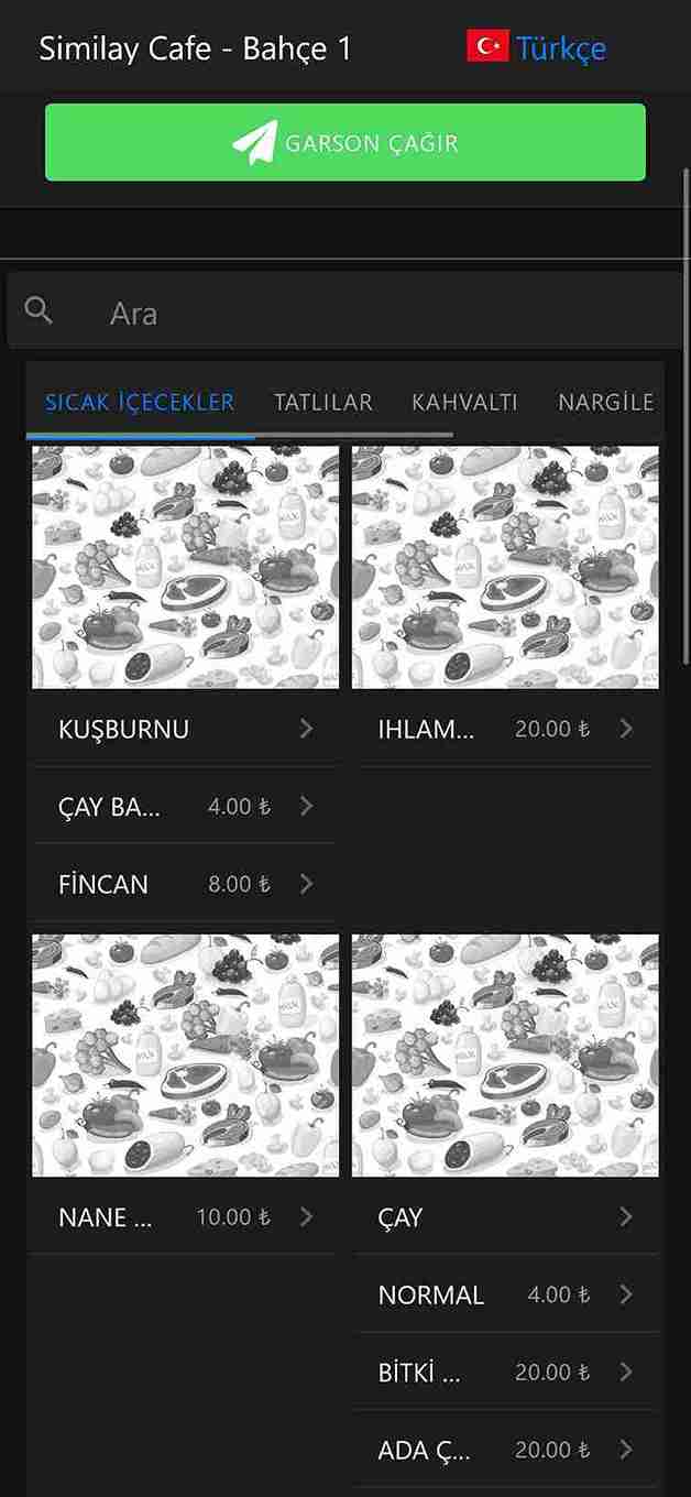 Mobigarson Android Uygulamaları - Mobil Erişim